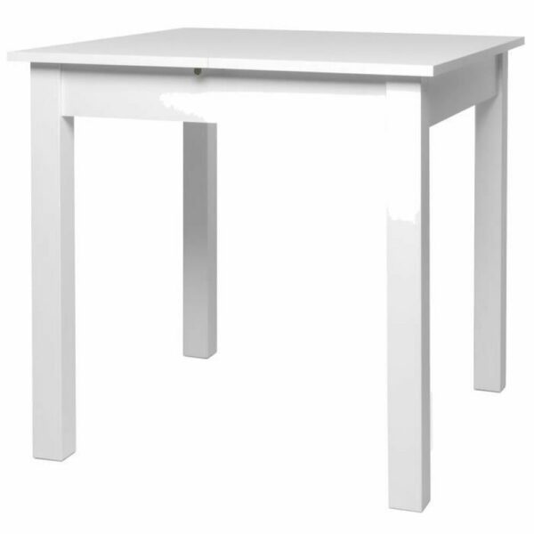 Table d’Appoint Pliable 80 x 120 x 80 cm Blanc ABS